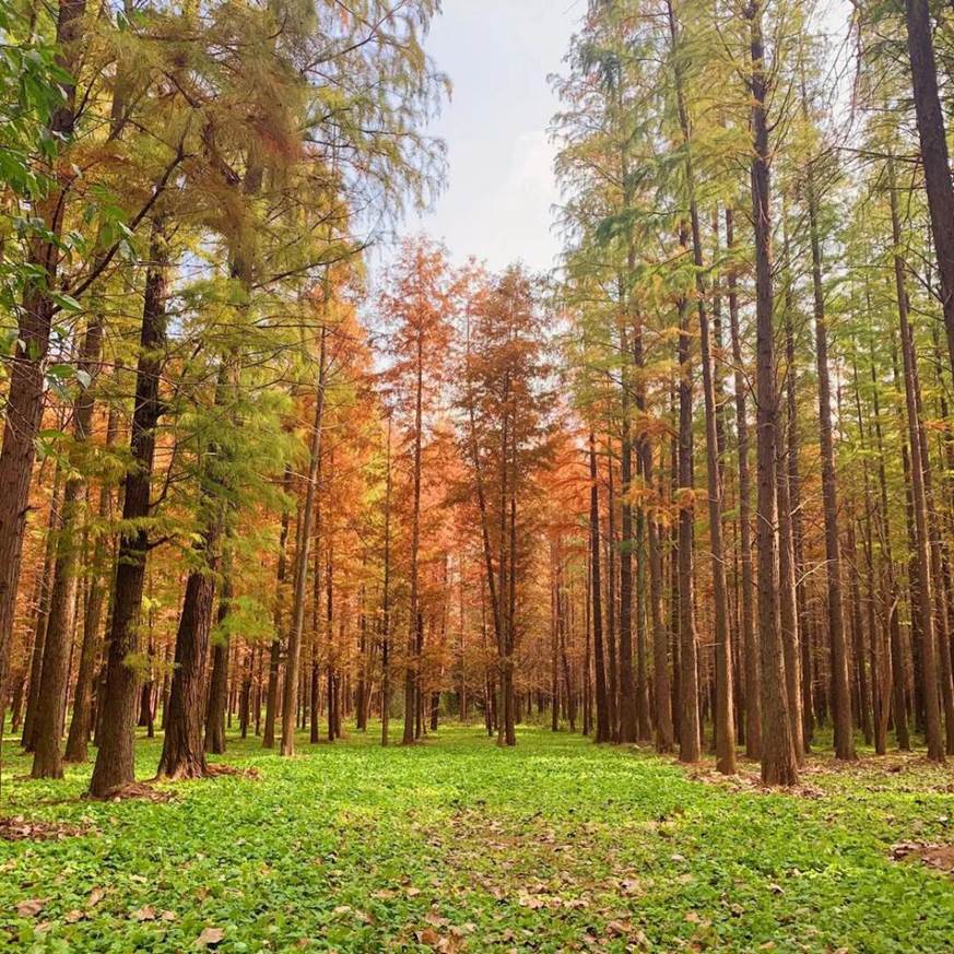 D13ABC81BC919CE13D03C034CE1F89CA D13ABC81BC919CE13D03C034CE1F89CA